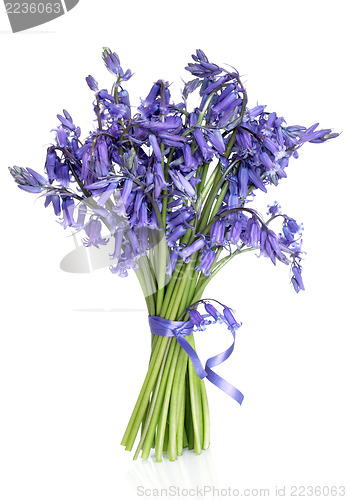 Image of Bluebell Flower Posy