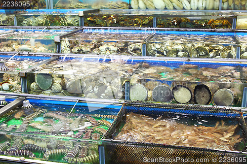 Image of fish tank in seafood market 