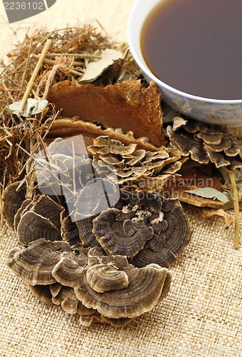 Image of Oriental Medicine