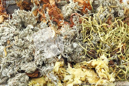 Image of Chinese herbal tea ingredients 