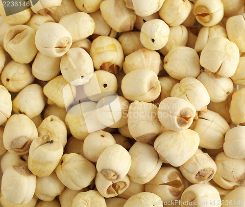 Image of Dry lotus seed 