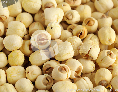 Image of Dry lotus seed 