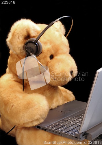 Image of Bear Customer Service