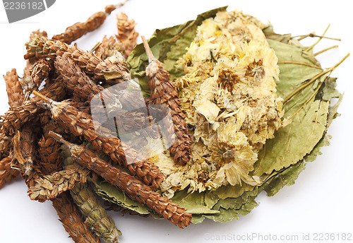 Image of chinese herbs tea ingredient