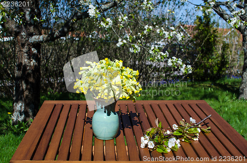 Image of Decorated table in a sunny garden at spring