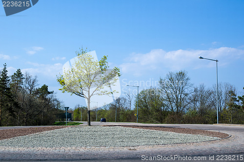 Image of Roundabout with single tree