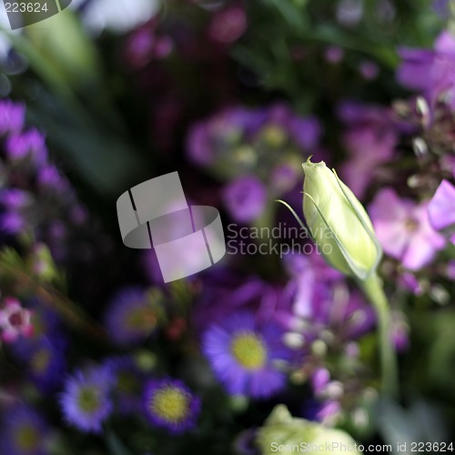 Image of Purple Bouquet