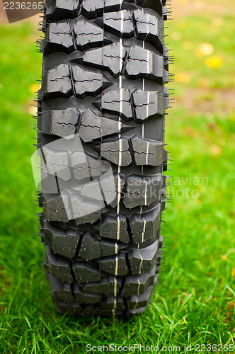 Image of Tire at green grass