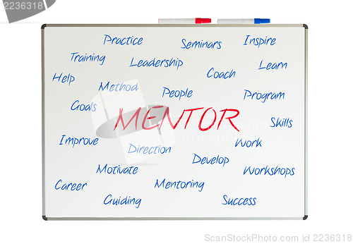 Image of Mentor word cloud