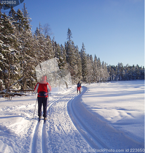 Image of Skiing