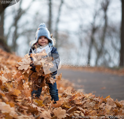 Image of Little girl plays with the leaves