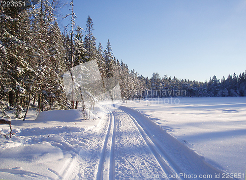 Image of Snow