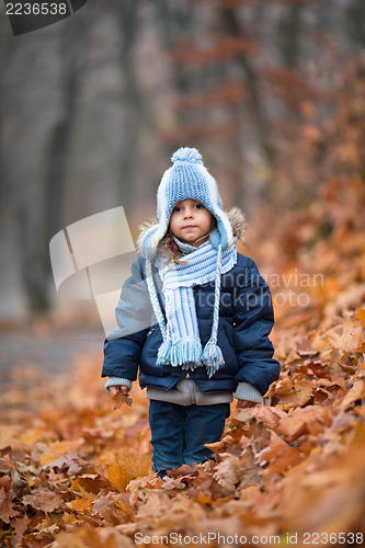 Image of Girl in an Autumn park