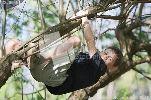 Image of Happy boy hanging in a tree