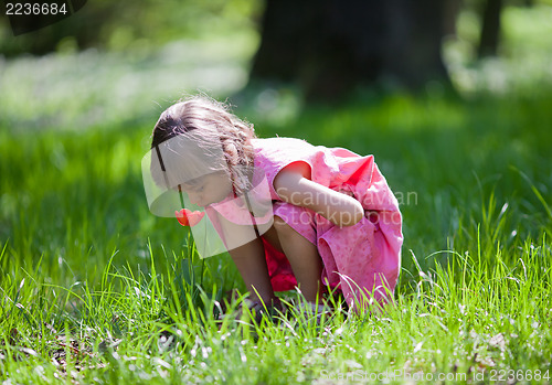 Image of Little girl sniffing flower