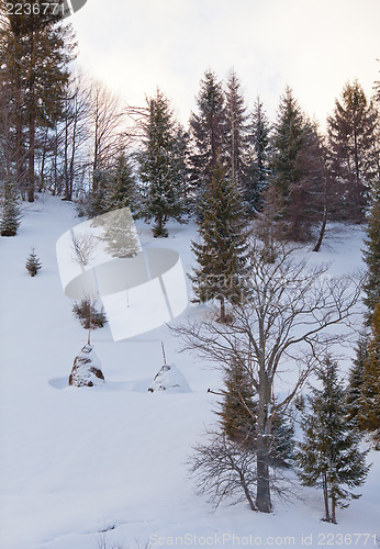 Image of Winter landscape