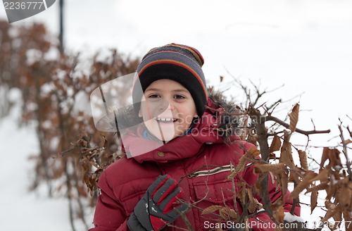 Image of Portrait of cheerful little boy