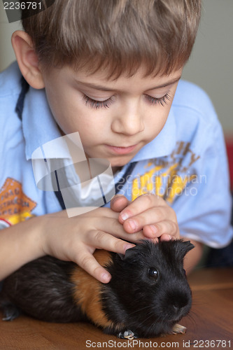 Image of Boy and guinea pig