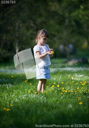 Image of Little girl exploring dandelion