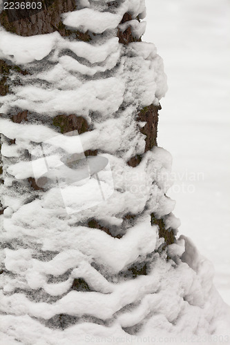 Image of Abstract nature