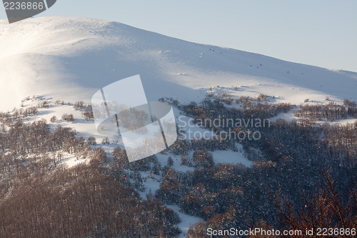 Image of Snowy mountain slope