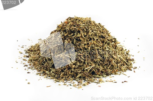 Image of Oregano on an isolated background