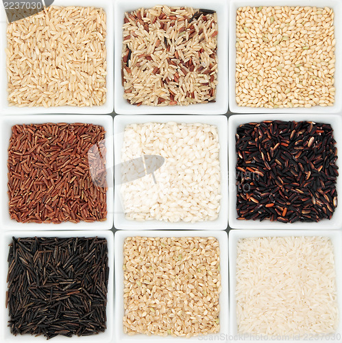 Image of Rice Grain Varieties