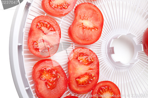 Image of Fresh tomato on food dehydrator tray