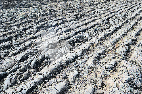 Image of agricultural background showing a plowed field surface