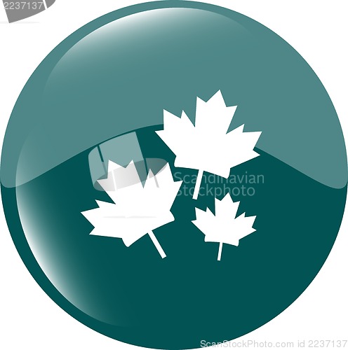 Image of Maple leaf icon on green sticker