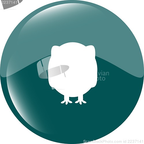 Image of Owl on icon button isolated