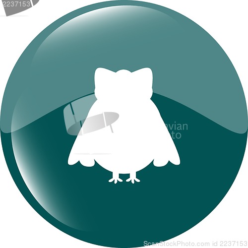 Image of Owl - icon isolated