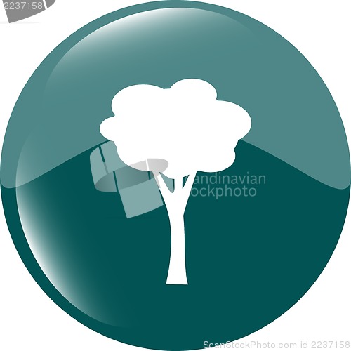 Image of Tree Icon on Round Black Button Collection Original Illustration