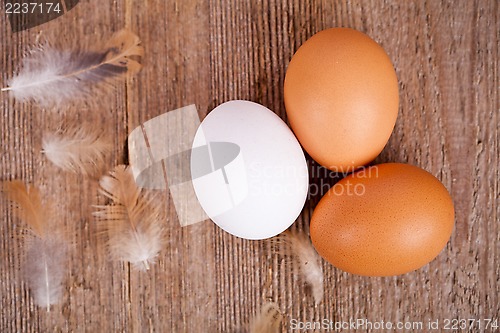 Image of three eggs and feathers 