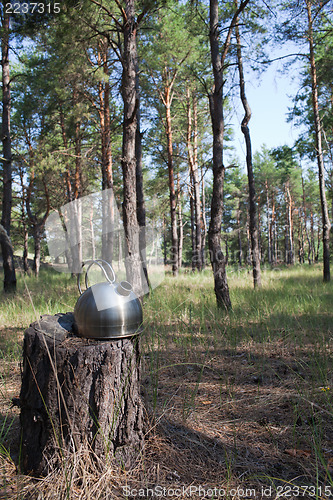 Image of Kettle on the stump