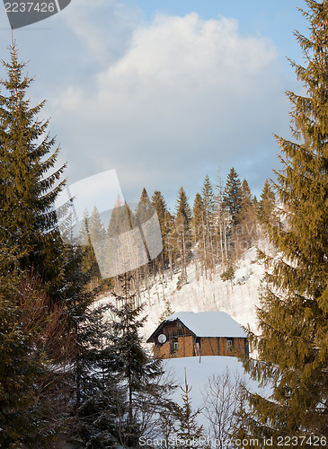 Image of Winter landscape