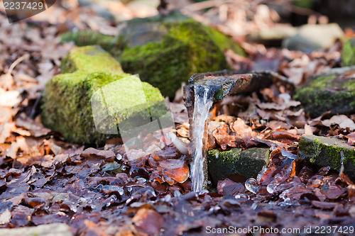 Image of Wellspring in winter