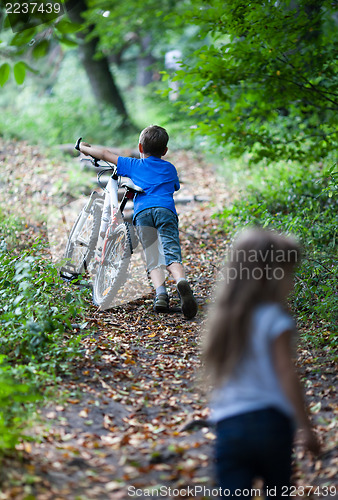 Image of Children in forest