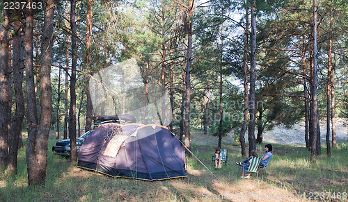 Image of Camping at pine forest