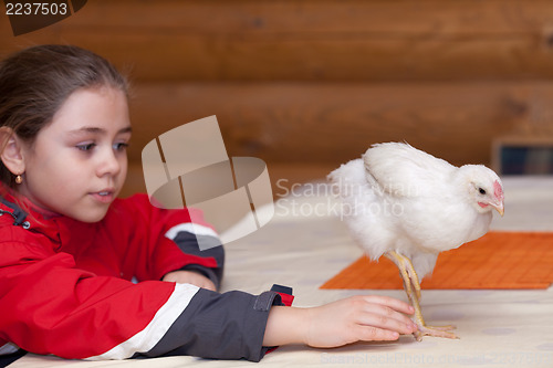 Image of Girl and young hen