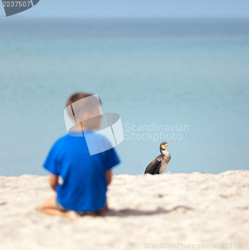 Image of Cormorant at the beach