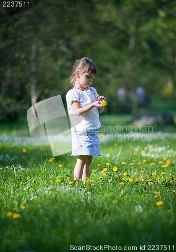 Image of Little girl exploring dandelion