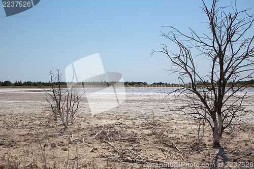 Image of Drought affected land