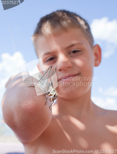 Image of Grasshopper sits on  boy's arm