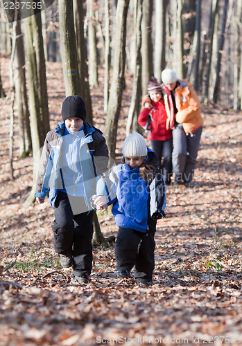 Image of Family walking in the woods