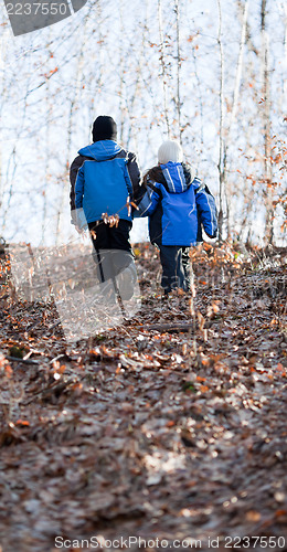 Image of Children walking in a forest