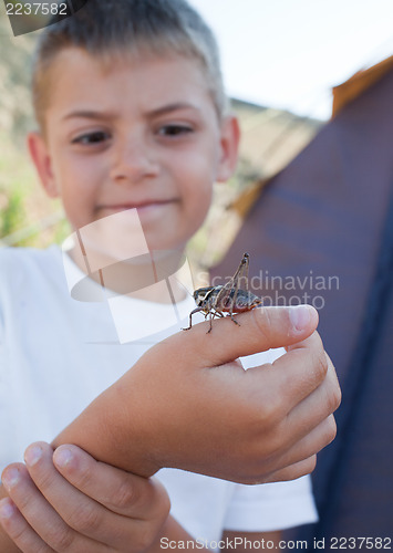 Image of Grasshopper sits on  boy's arm