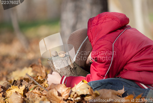 Image of Squirrel come