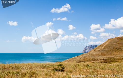 Image of Grass by coast