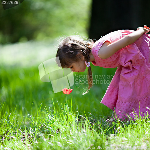 Image of Little girl sniffing flower